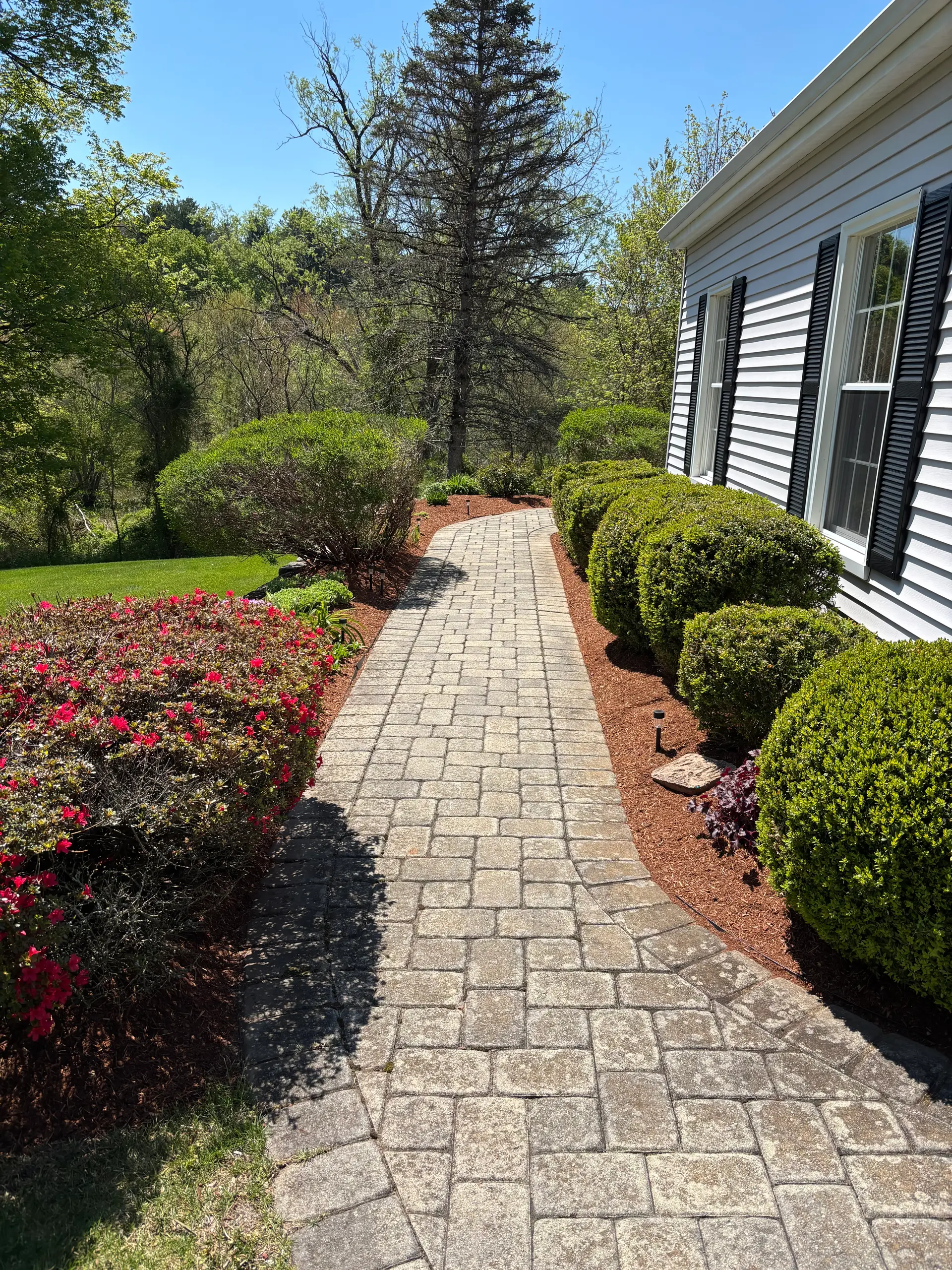 Paver walkway with manicured shrubs and landscape beds in central Connecticut